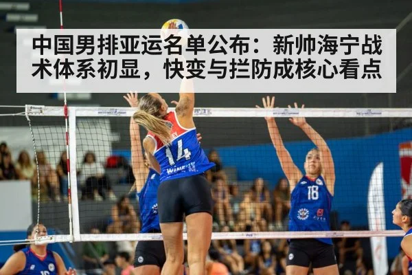 volleyball match