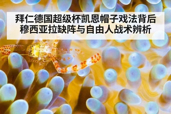 拜仁德国超级杯凯恩帽子戏法背后 穆西亚拉缺阵与自由人战术辨析